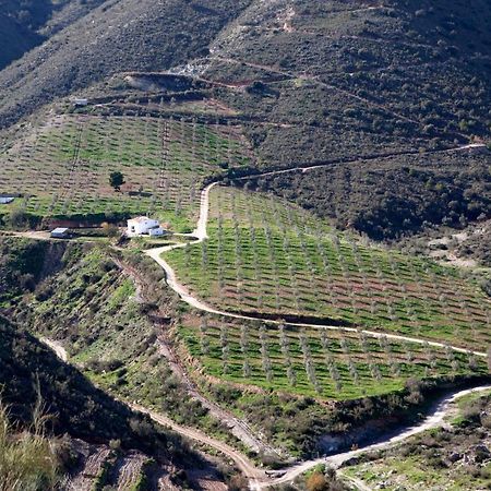Albanchez Cortijo El Rancho 빌라 외부 사진
