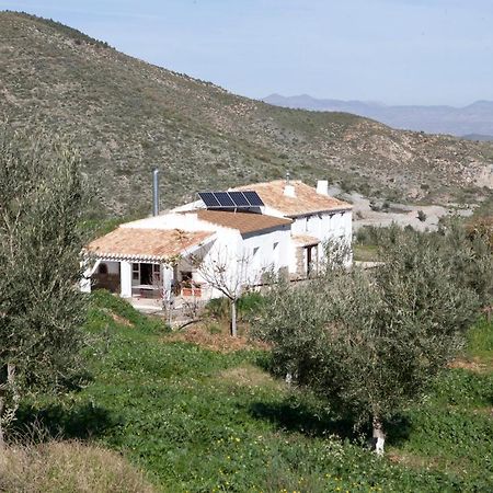Albanchez Cortijo El Rancho 빌라 외부 사진