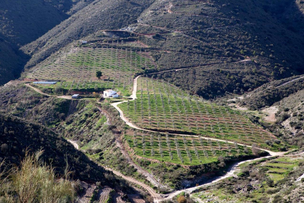 Albanchez Cortijo El Rancho 빌라 외부 사진