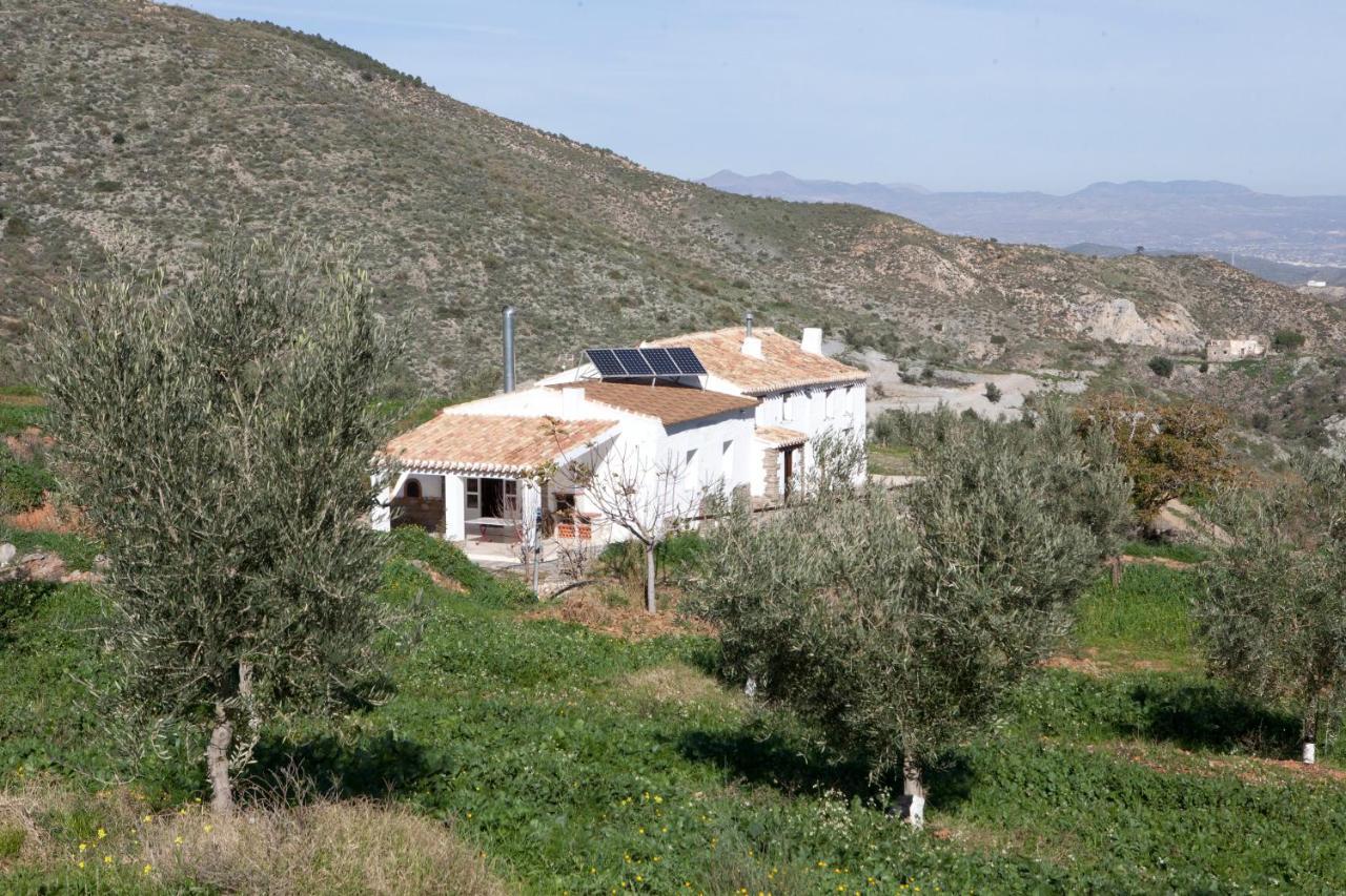 Albanchez Cortijo El Rancho 빌라 외부 사진